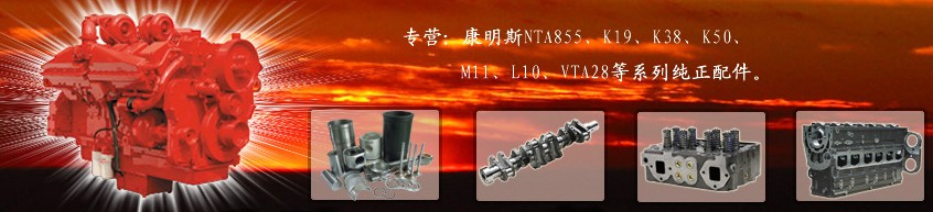 重慶康明斯發(fā)動機有限公司產(chǎn)品