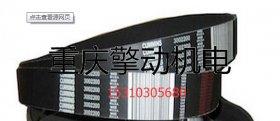 康明斯 G19 ,QSK19風(fēng)扇皮帶3002200